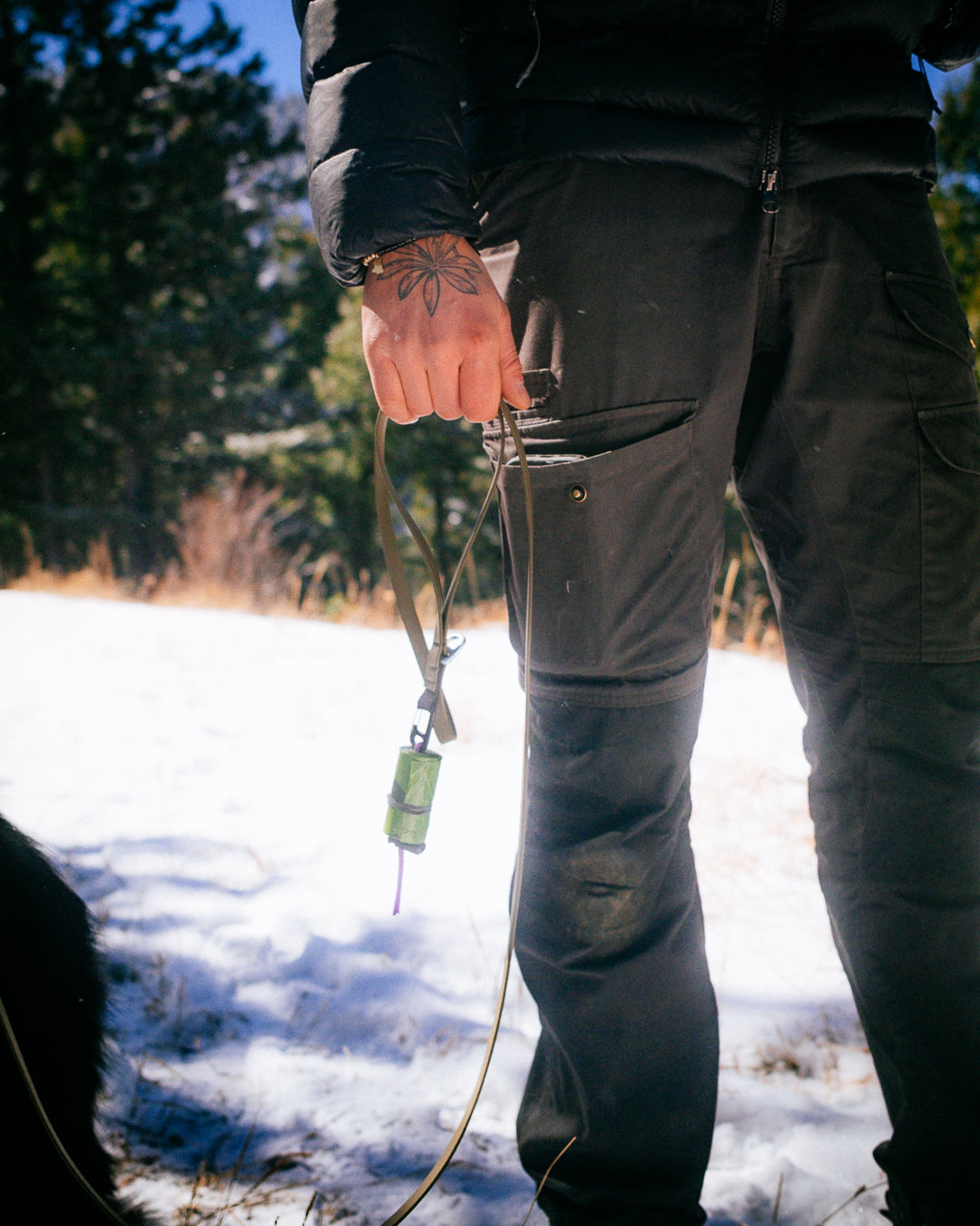 Lite Leash