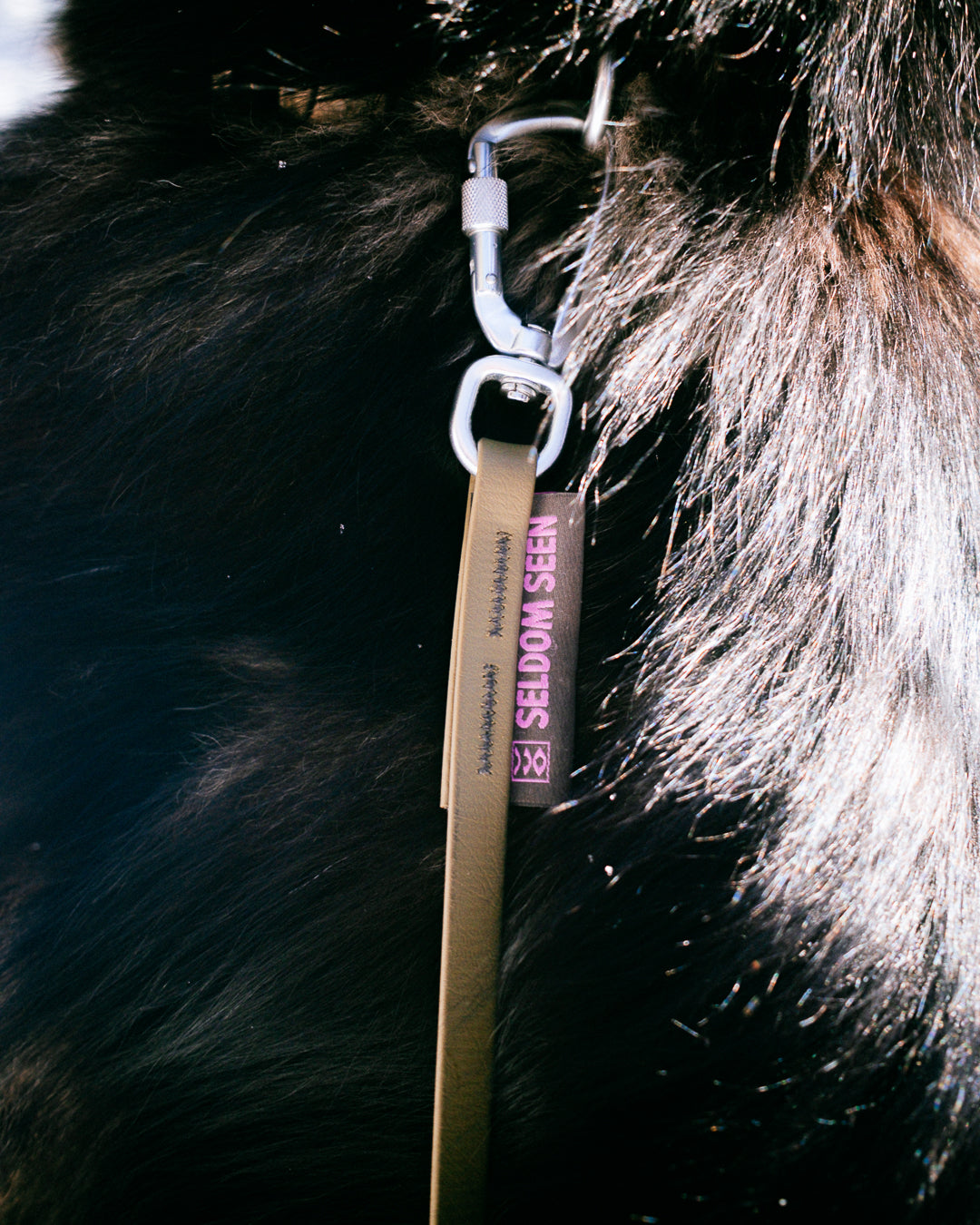 Lite Leash