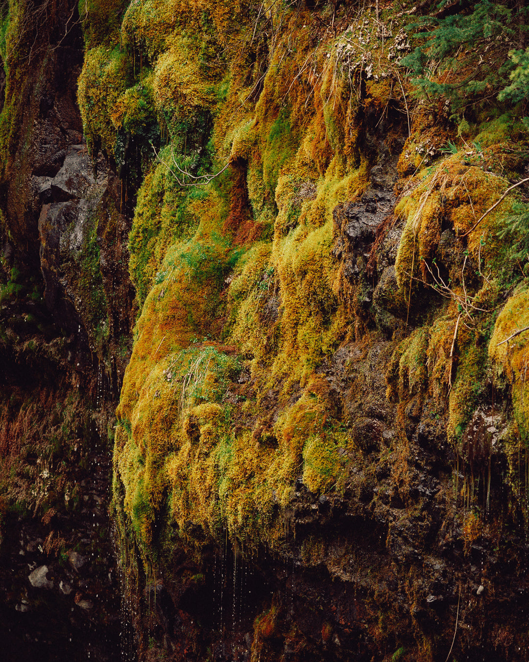 Footer background image